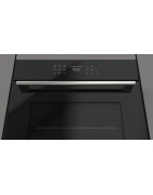 Духовой шкаф Fulgor Milano FCO 6214 P TEM BK купить в Санкт-Петербурге и Москве