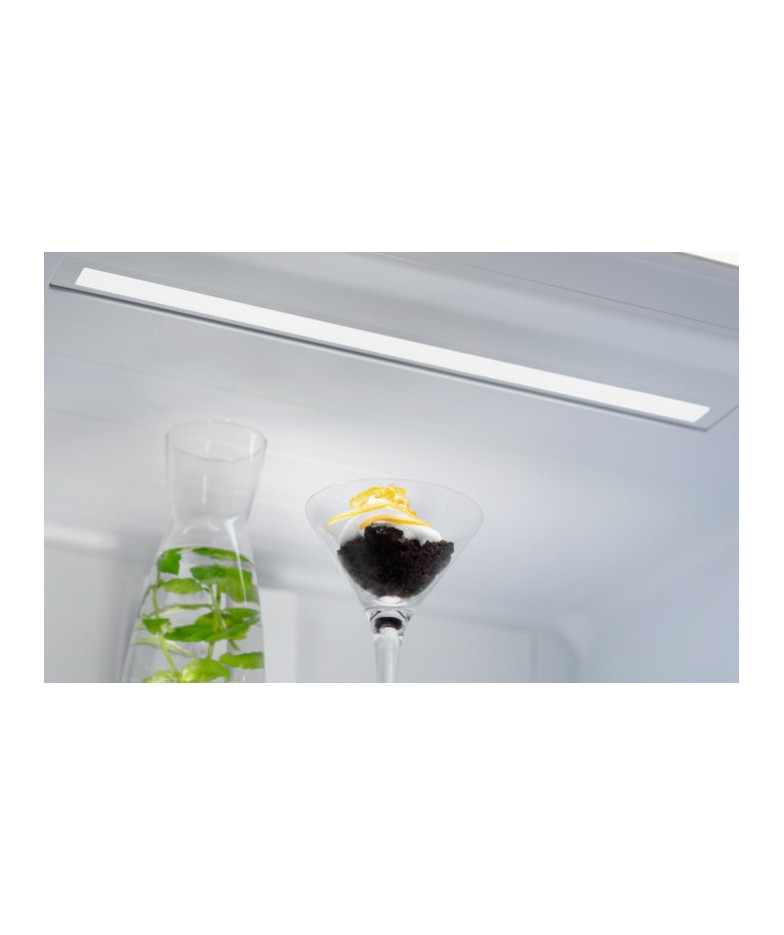 Холодильник Electrolux RNT7MF46X2 купить в Санкт-Петербурге и Москве