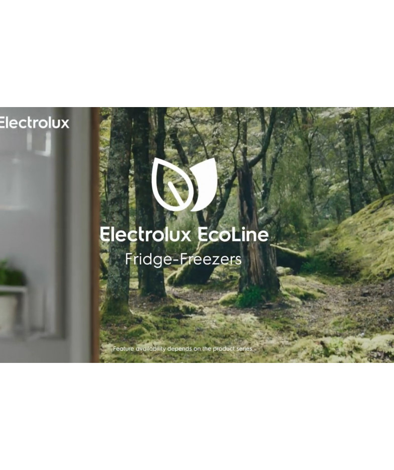 Встраиваемый холодильник Electrolux RNS8FF19S купить в Санкт-Петербурге и Москве