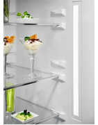 Холодильник Electrolux RNT7ME34X2 купить в Санкт-Петербурге и Москве