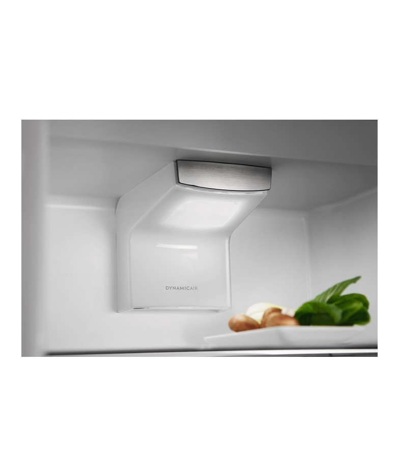 Встраиваемый холодильник Electrolux RNS9TE19S купить в Санкт-Петербурге и Москве