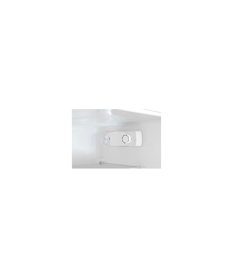 Холодильник Gorenje RF212FPW4 купить в Санкт-Петербурге