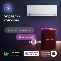 Daichi Alpha 2 A25AVQ2/A25FV2 купить в Санкт-Петербурге и Москве